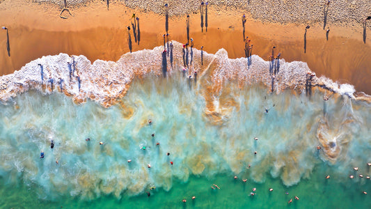 'Coogee Tricolour Landscape' Stretched Canvas Print