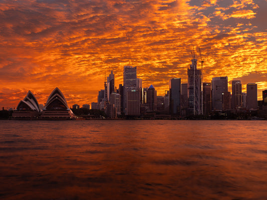 'Sydney City Landscape' Stretched Canvas Print