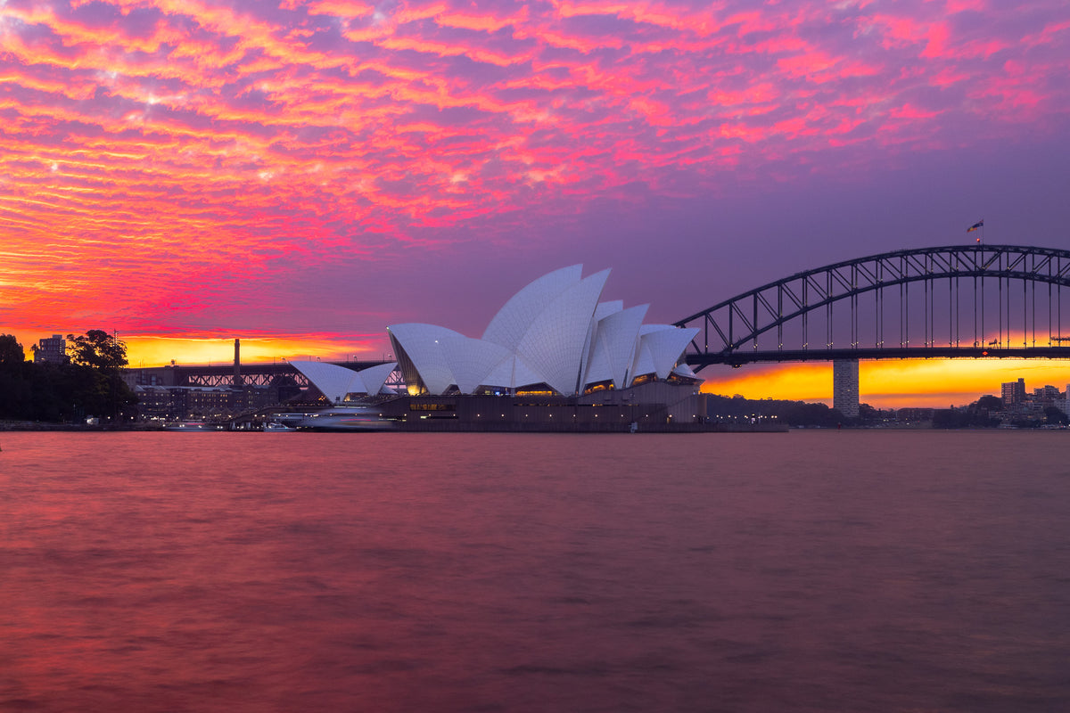 'Sydney In Pink' Paper Print