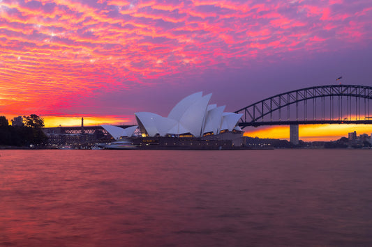 'Sydney In Pink' Paper Print