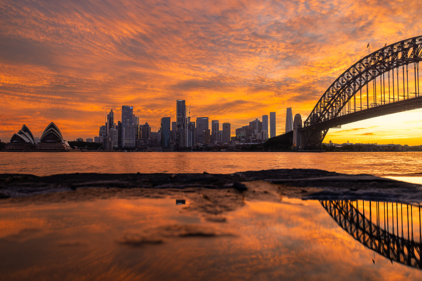 'Sydney Dream' Paper Print