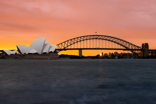 'Sydney Flourish' Stretched Canvas Print