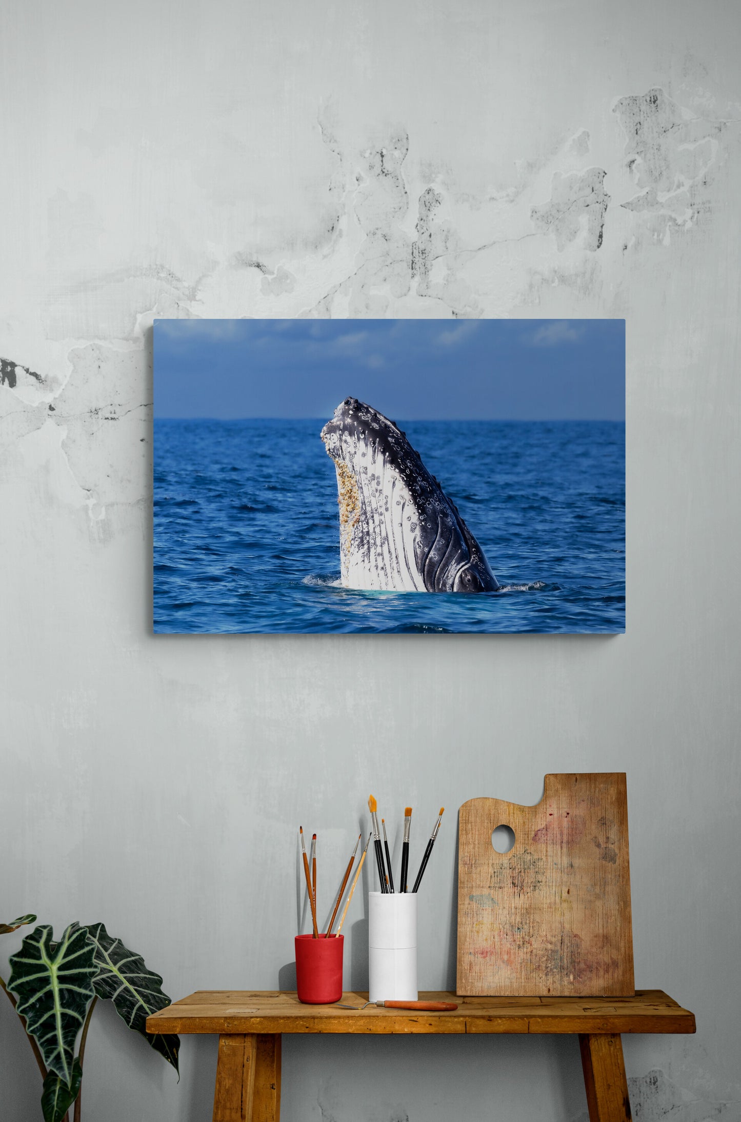 'Spy Hopping' Stretched Canvas Print