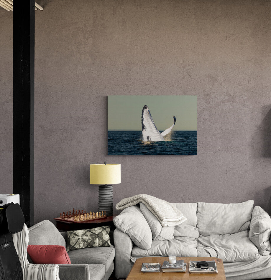 'Whale Hello' Stretched Canvas Print