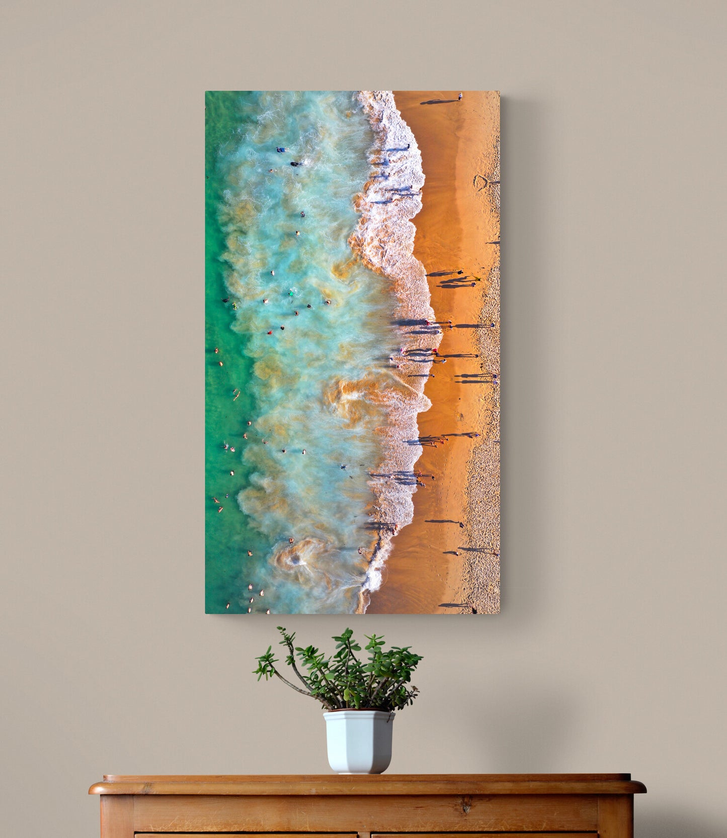 'Coogee Tricolour Portrait' Stretched Canvas Print